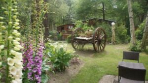 Le Jardin du Bois Fleuri à Yvré le Polin (72)