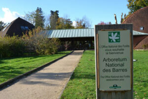 L’Arboretum National des Barres à Nogent sur Vernisson (45)