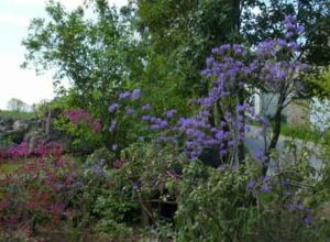 Le Jardin de Lopriac à Kervignac (56)