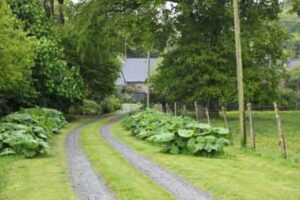 Le Jardin de Marie-Thérèse à St Guyomard (56)