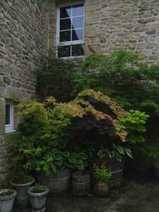 Le Jardin de Bidou et Paddy à Locmiquel (56)