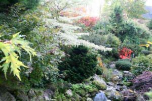 Le Jardin de la Guesnonnière à Montcuit (50)