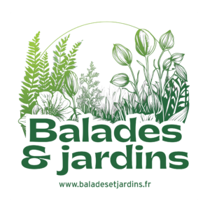 Le Jardin de la Midoni à Bourg des Comptes (35)