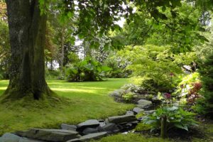 Le Parc du Château de la Javelière à Montbarrois (45)