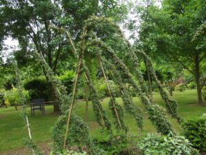 Le Jardin des Vigneaux à Souligné Flacé (72)