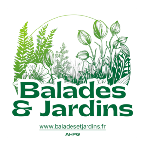 Le Conservatoire des Rhododendrons Polyploïdes à Josselin (56)