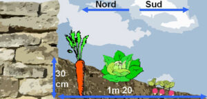 Techniques de jardinage à pratiquer de décembre à février pour préparer les récoltes des primeurs par Thérèse 