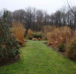 Le Jardin de Daniel à Moustoir-Ac (56)