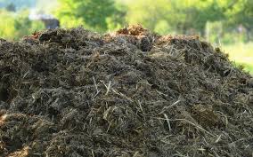 Comment favoriser les défenses naturelles des plantes au jardin potager par Thérèse