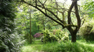 Le Parc bocager du Fourneau à Paimpont (35)