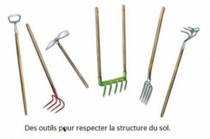 Bien travailler le sol dans un potager déjà installé par Thérèse