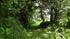 Lower Ambel Farmhouse en Cornouailles (GB)