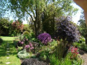Le Jardin ‘Poppy Cottage Garden’ en Cornouailles (GB)