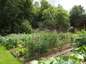 Le Jardin des Pépins à Cesson Sévigné (35)