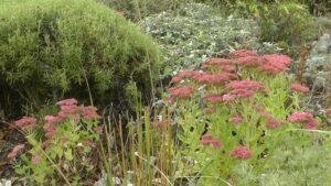 Le Jardin de la Grille à Durtal (49)