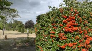 Le Jardin de Claude à Beaufort en Vallée (49)