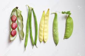 La culture des légumineuses : fèves et pois par Thérèse