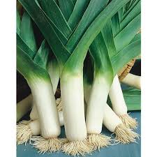 La culture des poireaux par Thérèse