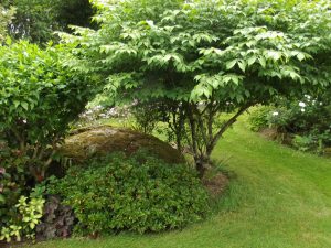 Le Jardin de Jacqueline et Joseph à St Jean Brévelay (56) en 2017
