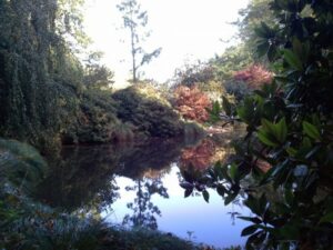 Le Parc Botanique de Haute Bretagne à Le Chatellier (35)