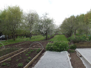 Le Jardin de Saint Durec à Saint Durec (29)