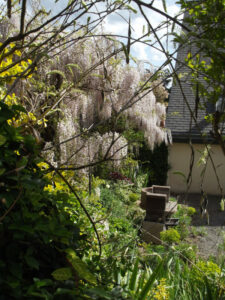 Le Jardin de Paradis à Guéméné-Penfao (44)