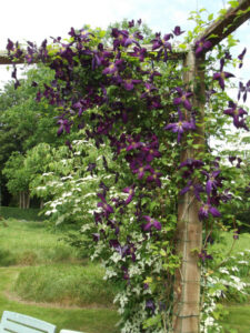 Le Jardin de La petite Rochelle à Rémalard (61)