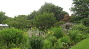 Le Jardin de Raphaëlle à Guénin (56)