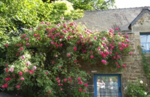 Le Jardin de Christian à Kerblaizo (56)