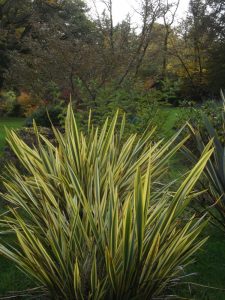 Le Jardin de Saint-Efflam à Langoëlan (56)