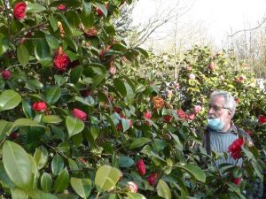 Le Jardin de René Mahuas à Plumergat (56)