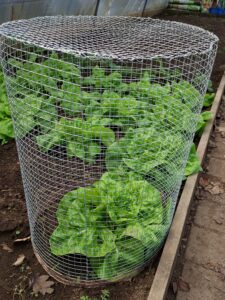 Atelier Fabrication de cloches maraîchères