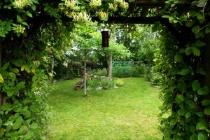 Le Jardin de la Rabine à Neuillac (56)