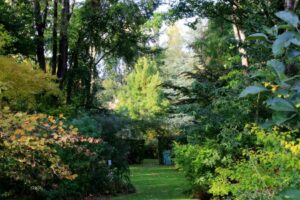 Le Jardin des Gobitières à Betton (35)