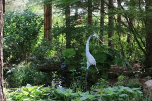 Le Jardin de Mireille à Channay sur Lathan (37)