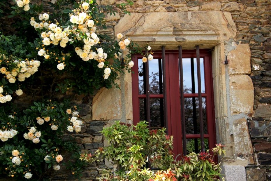 le jardin de la Famille Beucher à Châteaugiron (35) - Balades et Jardins