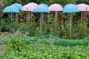Le Jardin d’Yvette et Patrick Le Porhiel à Quéven (56)
