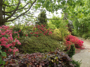 La Pépinière Huchet à Gennes sur Seiche 35