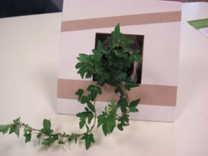 Atelier Cadre végétal