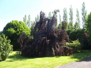 Le Jardin Arc en Ciel à Ploubezre (22)