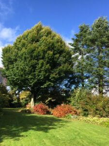 Le Jardin Au Bout de la Lande à Plévin (22)