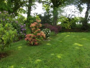Le Jardin du Grand Clos à Le Foeil (22)