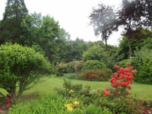 Le Jardin d’Hervé Quinio à Saint-Brandan (22)