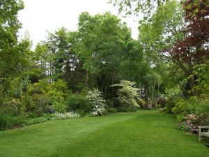 Le Jardin de Kerlouis à Plévenon (22)