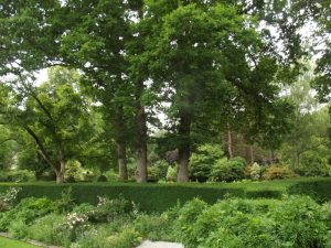 Le Jardin de Mme Le Moign en 2021 à Gouarec (22)