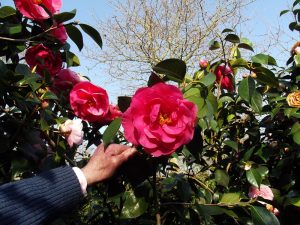 Park ar Brug à Plouisy (22)