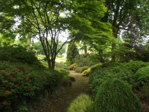 Le Jardin de La Ravillais à Ploubalay (22)