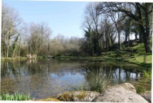 Le Jardin La Vallée des Bambous à  Plougonver (22)