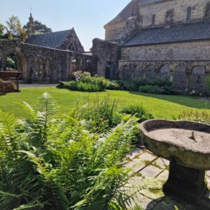 Le Jardin de l’Abbaye à Daoulas (29)