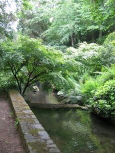 Le Jardin du Kestellic à Plouguiel (22)